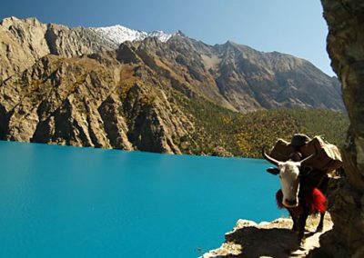 upper-dolpa_trekking_all-trekkers_-team-p-ltd